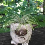 Summer 2017 pottery