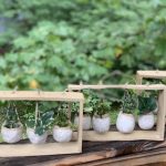 Summer 2019 pottery
